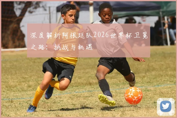 深度解析阿根廷队2026世界杯卫冕之路:挑战与机遇